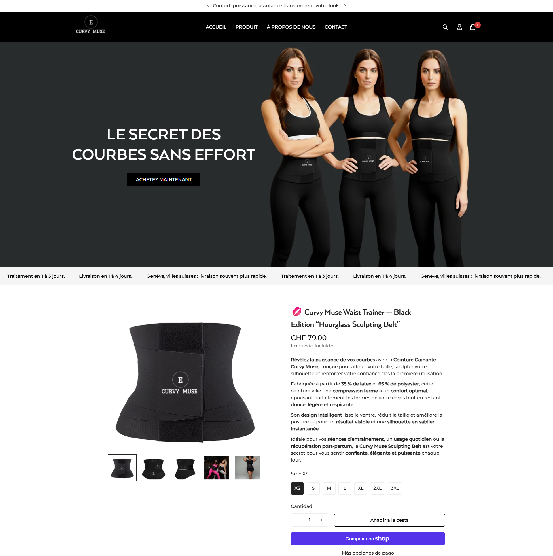 Website Development for eThemeStudio Corporation
