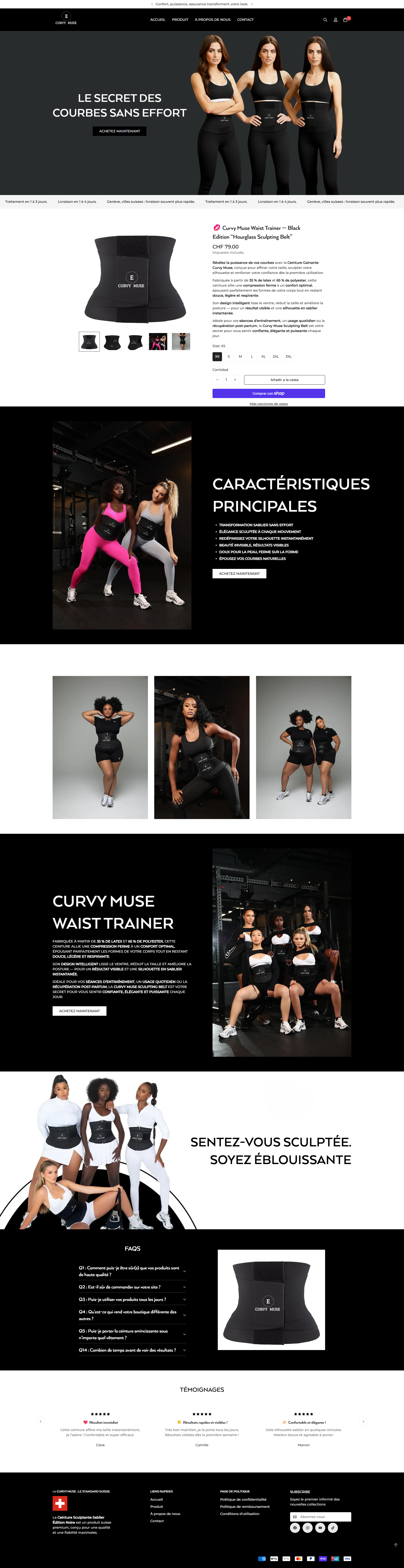 Website Development for eThemeStudio Corporation